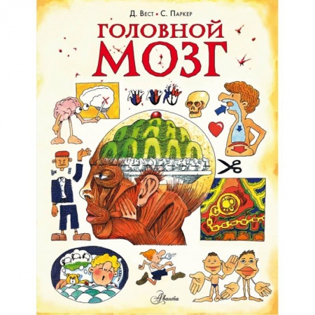 Познавательная литература, книга Головной мозг