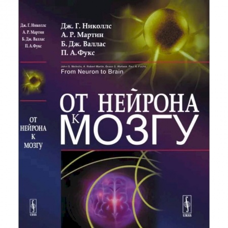 Общественные и гуманитарные науки, книга От нейрона к мозгу