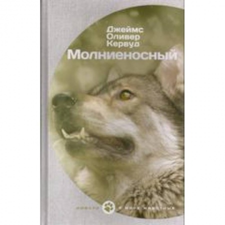 Книги, книга Молниеносный