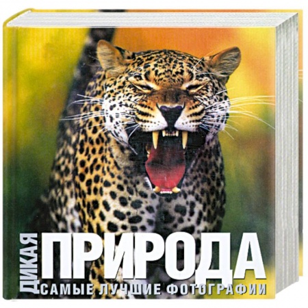 Книги, книга Дикая природа: Самые лучшие фотографии