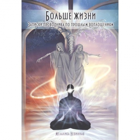 Эзотерические учения, книга Больше жизни. Записки проводника по прошлым воплощениям