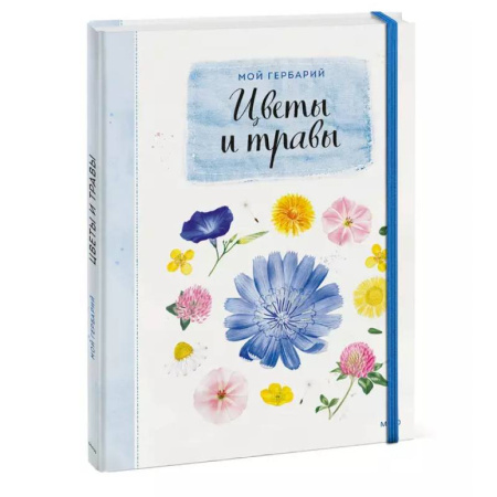 Досуг, творчество и кулинария, книга Мой гербарий. Цветы и травы