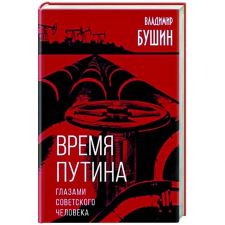 Публицистика, книга Время Путина. Глазами советского человека