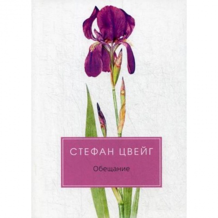 Классика, современная литература, книга Обещание