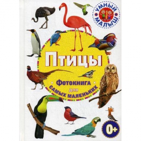 Познавательная литература, книга Птицы
