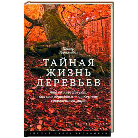 Естественные науки, книга Тайная жизнь деревьев. Что они чувствуют, как они общаются — открытие сокровенного мира