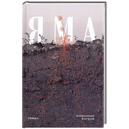 Классика, современная литература, книга Яма