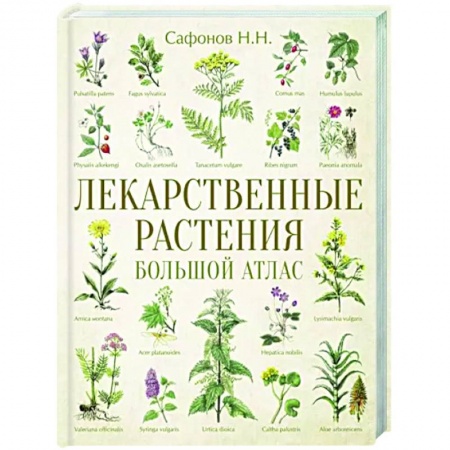 книга Лекарственные растения. Большой атлас с доставкой по Франции Популярная и нетрадиционная медицина, книга Лекарственные растения. Большой атлас