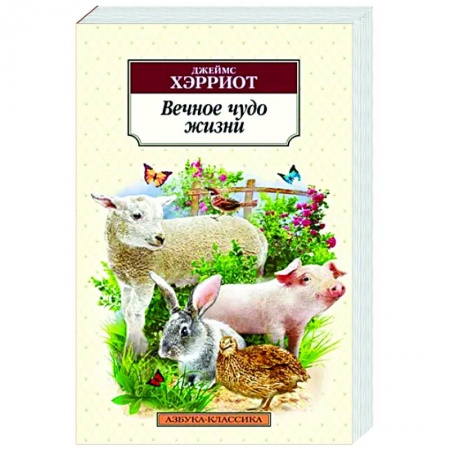 Классика, современная литература, книга Вечное чудо жизни