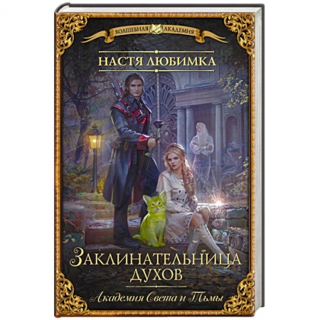 Фантастика, фэнтези, книга Академия Света и Тьмы. Заклинательница Духов