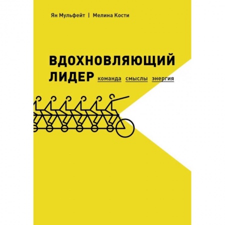 книга Вдохновляющий лидер. Команда. Смыслы. Энергия с доставкой по Франции Психодиагностика, книга Вдохновляющий лидер. Команда. Смыслы. Энергия