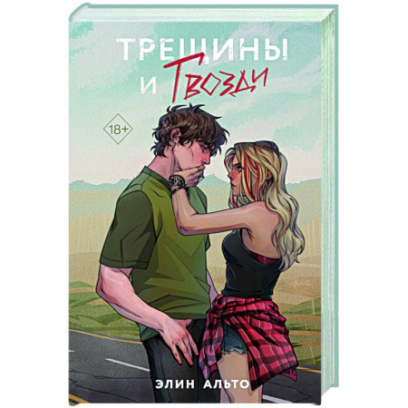 Любовный роман, книга Трещины и гвозди