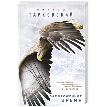 Классика, современная литература, книга Замороженное время