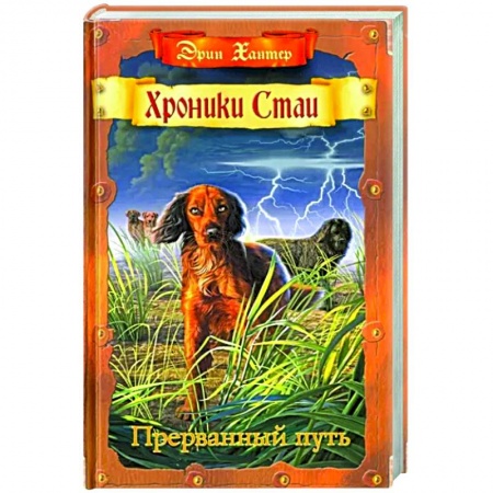 Проза для детей, книга Прерванный путь