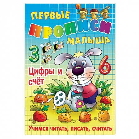 Книги, книга Цифры и счет