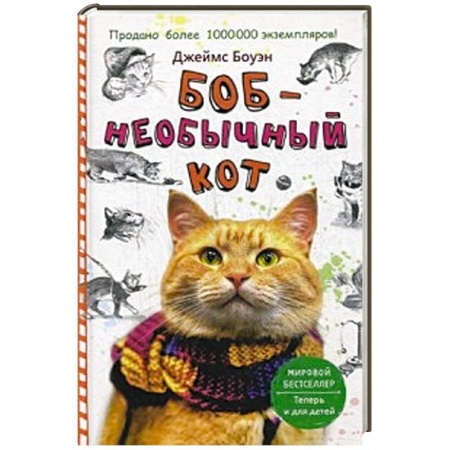 Книги, книга Боб необычный кот