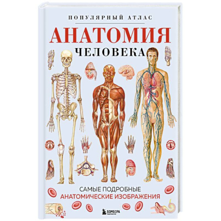 книга Анатомия человека. Популярный атлас. Самые подробные анатомические изображения с доставкой по Франции Медико-биологические дисциплины, книга Анатомия человека. Популярный атлас. Самые подробные анатомические изображения