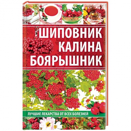 Популярная и нетрадиционная медицина, книга Шиповник, калина, боярышник. Лучшие лекарства от всех болезней