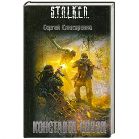 Книги, книга Константа связи