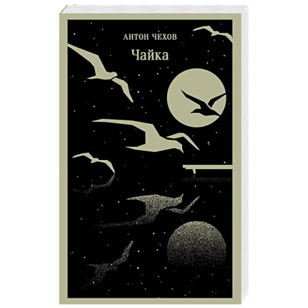 Классика, современная литература, книга Чайка