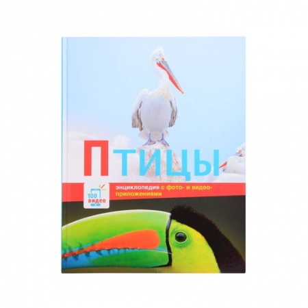Познавательная литература, книга Птицы