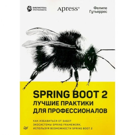 Школьникам и абитуриентам, книга Spring Boot 2:лучшие практики для профессионалов