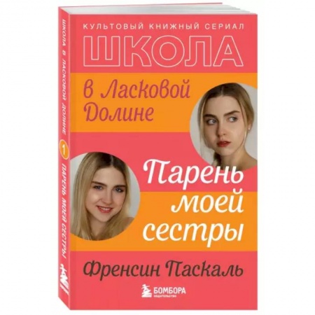 Любовный роман, книга Школа в Ласковой Долине. Парень моей сестры
