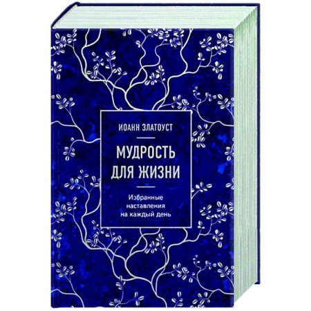 Православие, книга Мудрость для жизни. Избранные наставления на каждый день