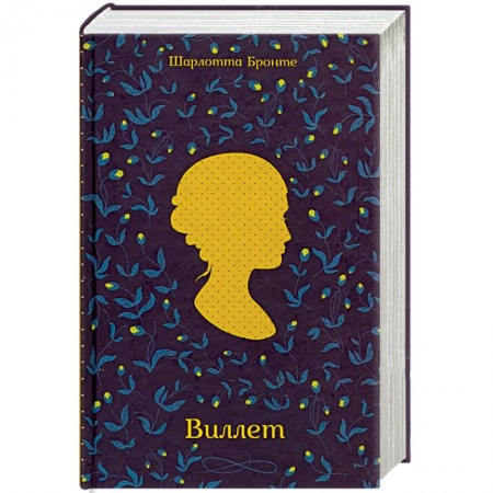Классика, современная литература, книга Виллет