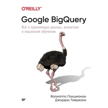 Основы информатики, общие работы, книга Google BigQuery. Всё о хранилищах данных, аналитике и машинном обучении