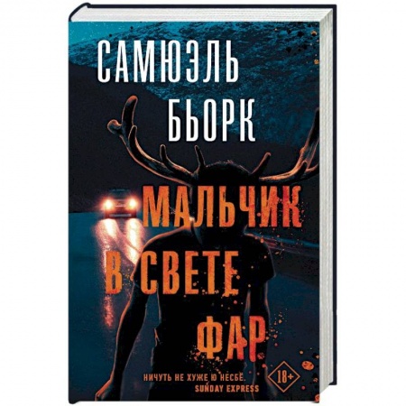 Детективы, триллеры, книга Мальчик в свете фар