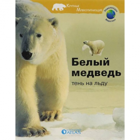 Познавательная литература, книга Белый медведь. Тень на льду