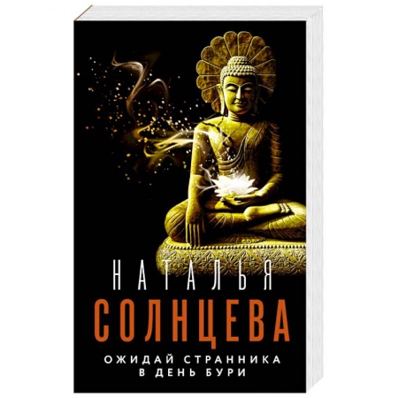 Детективы, триллеры, книга Ожидай странника в день бури