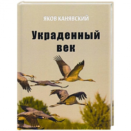 Классика, современная литература, книга Украденный век
