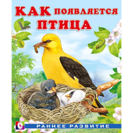 Познавательная литература, книга Как появляется птица