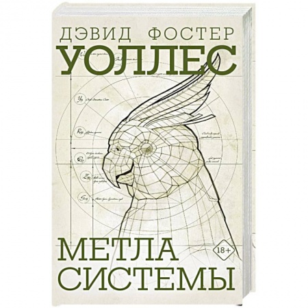 Классика, современная литература, книга Метла системы