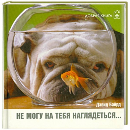 Книги, книга Не могу на тебя наглядеться…