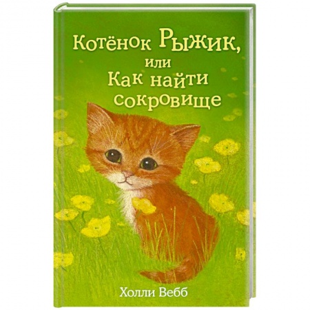 Книги, книга Котёнок Рыжик, или Как найти сокровище