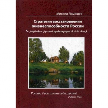 Публицистика, книга Стратегия восстановления жизнеспособности России. К развитию русской цивилизации в ХХI веке