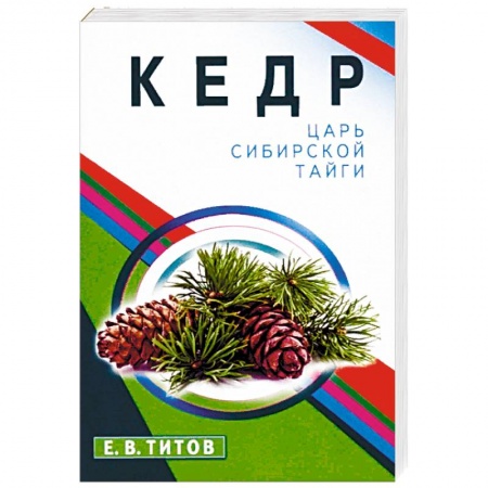 Популярная и нетрадиционная медицина, книга Кедр-царь сибирской тайги