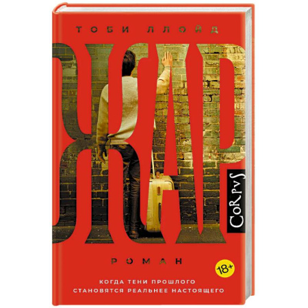 Классика, современная литература, книга Жар