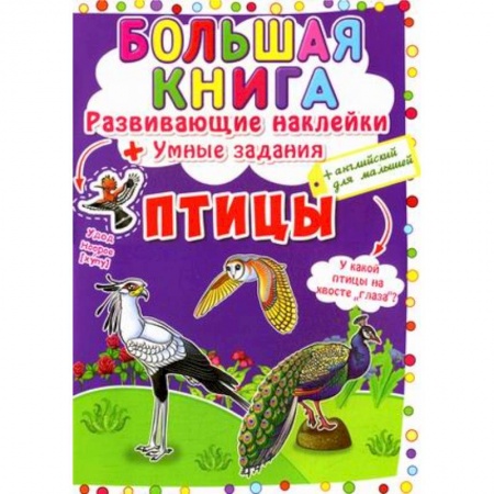 Досуг, творчество и кулинария, книга Большая книга. Птицы. Развивающие наклейки. Умные задания. Английский для малышей