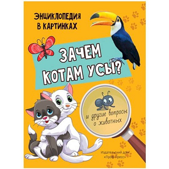 Зачем котам усы? Зачем котам усы?