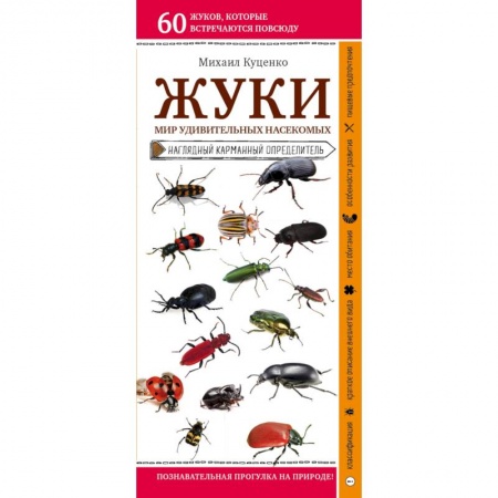 Естественные науки, книга Жуки. Мир удивительных насекомых
