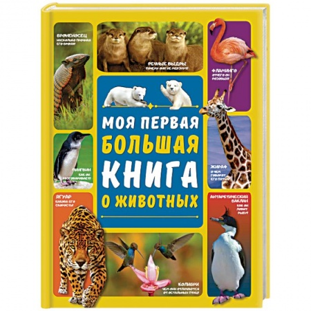 Познавательная литература, книга Моя первая большая книга о животных