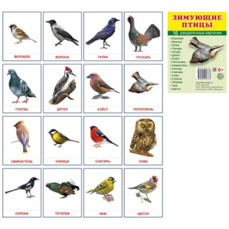 Дошкольникам, книга Демонстрационные картинки Супер. Зимующие птицы.16 раздаточных карточек с текстом