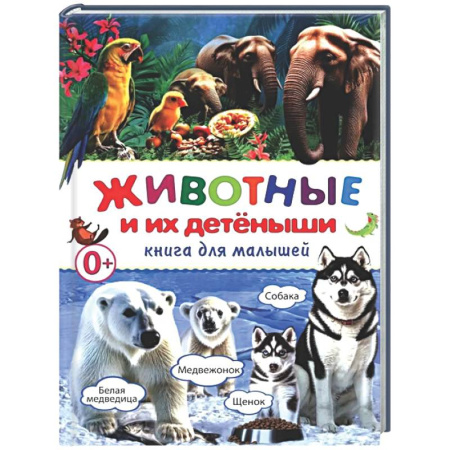 Познавательная литература, книга Животные и их детеныши. Книга для малышей