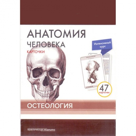 Медицинские энциклопедии и справочники, книга Анатомия человека. Остеология (47 карточек)