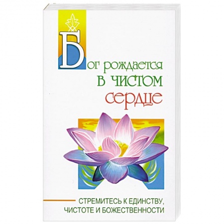 Эзотерические учения, книга Бог рождается в чистом сердце. Стремитесь к единству, чистоте и божественности