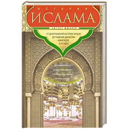 Религиоведение. История религий, книга История ислама. От доисламской истории арабов до падения династии Аббасидов в XVI веке
